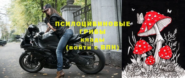 ПСИЛОЦИБИНОВЫЕ ГРИБЫ Алзамай