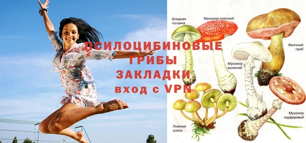 спиды Алексеевка